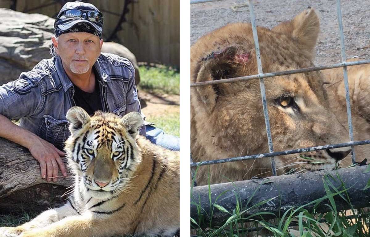 Tiger King Joe Exotic's former park now called 'zoo of horrors